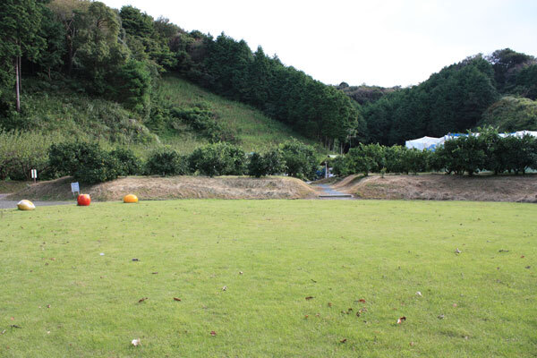 広々とした芝生の奥に果樹園