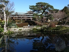 池の背景に建物