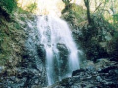 沢山の水が流れる滝