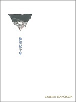 図録「柳澤紀子展」表紙