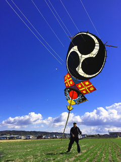 青空の下であがる三つ巴の大きな凧