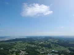 粟ヶ岳山頂から眺められる風景。眼下には大茶園が広がり、太平洋を見渡しながら新年のご来光を拝むことができる場所。