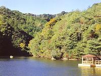 緑鮮やかな木々や山々と小笠池の水面が美しい景色