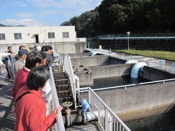 浄水場の水が溜まっている場所をのぞき込む人たちの写真。