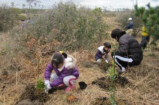 苗木を丁寧に植えていく再生ボランティアの家族ら