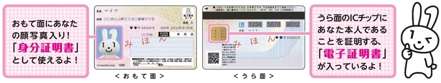 おもて面にあなたの顔写真入り「身分証明書」として使えるよ。うら面のICチップにあなた本人であることを証明する「電子証明書」が入っているよ。