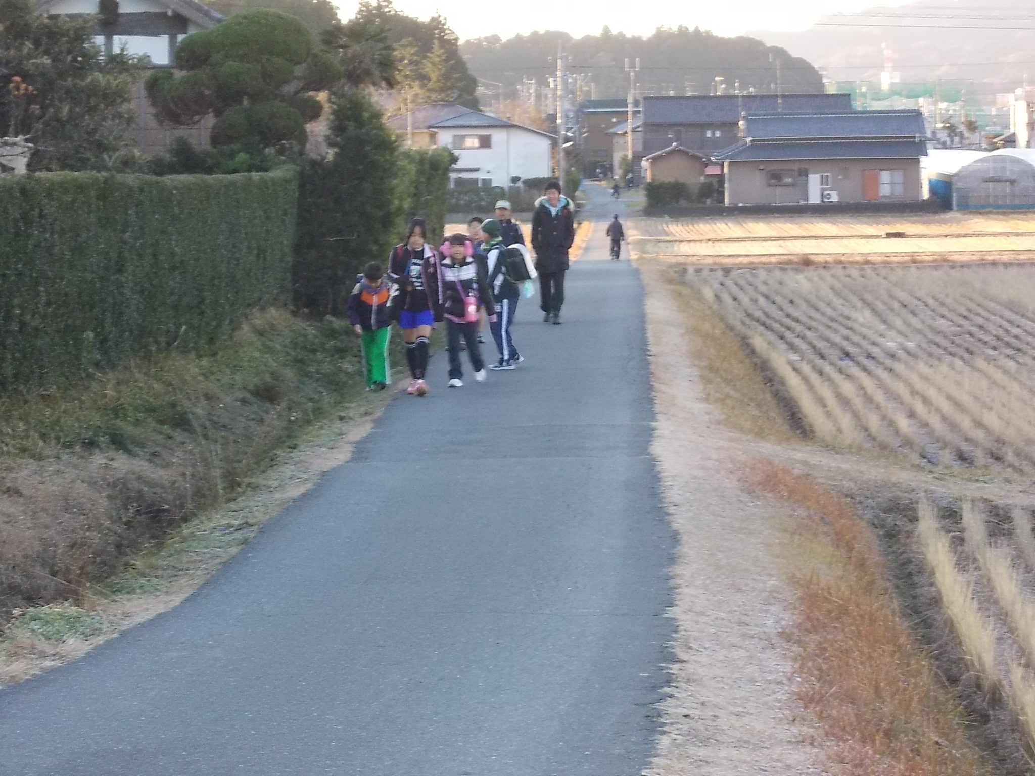 市道「西郷東側線（上西郷地内）」施工前の道路、田んぼ沿いの狭い道路に小学生が集団で歩いている