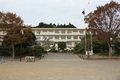 桜木小学校の画像で、3階建ての白い校舎の手前に運動場と木々がある