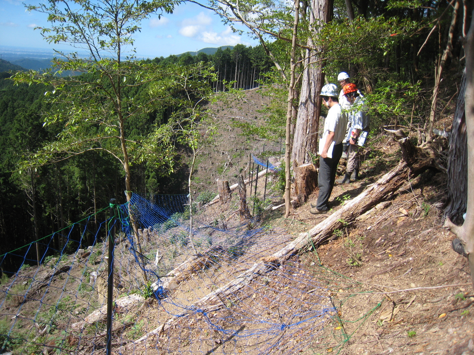 皆伐後の植林現地視察の様子、山の斜面に立ち現場を観察する人たち。