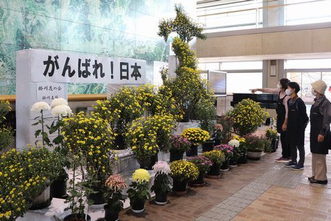 日本地図をかたどった菊の花