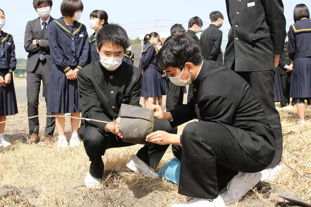 苗木をグラウンドに埋める生徒