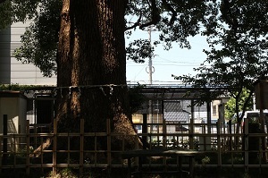 くすのき公園実写(1).jpg
