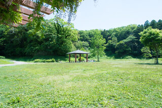 22世紀の丘公園芝生広場の写真