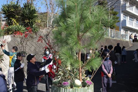 大きな門松に飾り付けをする児童