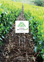 世界農業遺産静岡の茶草場農法A4.png