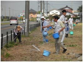 コスモスの種を巻く人たち。雑草を刈りとっている人もいる。
