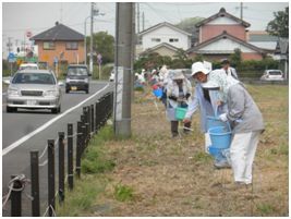 バケツに砂とコスモスの種を入れて、種まきをする人たち
