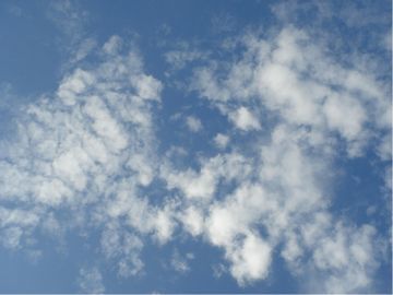 青空にうろこ雲がかかる様子。
