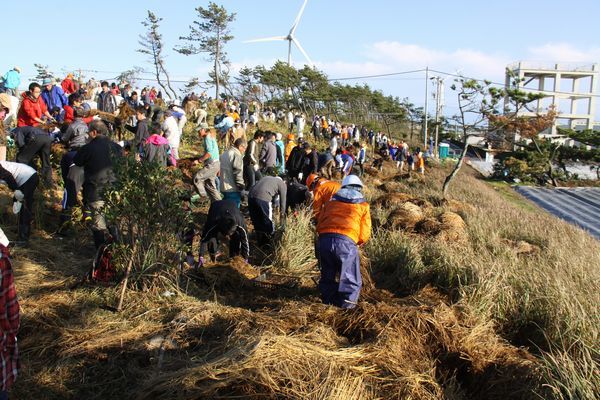 500名の参加者達が3,500本の記念植樹を植えている。