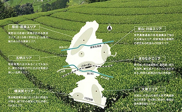 茶畑を背景に、掛川市の地図の中に各エリアの紹介をしている