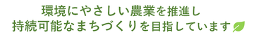 宣言2.png