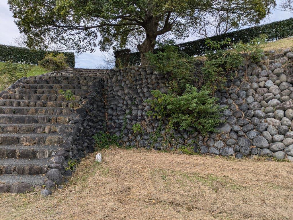 PXL_20241030_055340035.jpg
