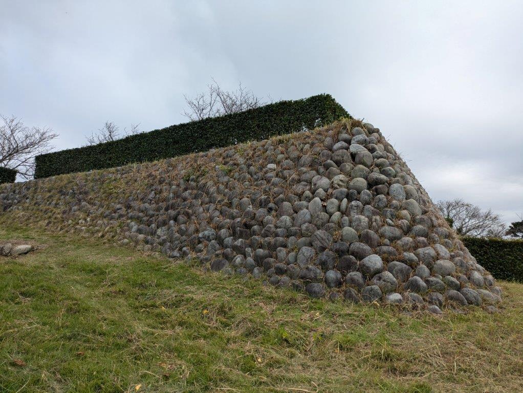 PXL_20241103_030116516.jpg