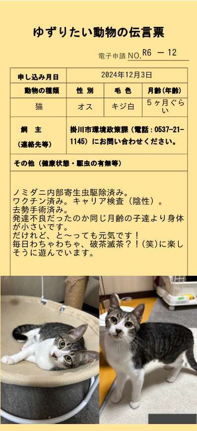 R6-12 (JPG 49.1KB)