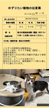 R6-12 (JPG 49.1KB)