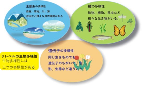 生態系1.png