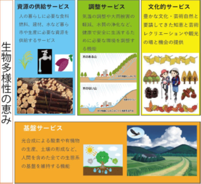 生態系2.png