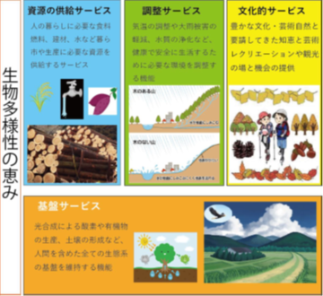 生態系2.png