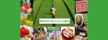 掛川市ふるさと納税　好評受付中