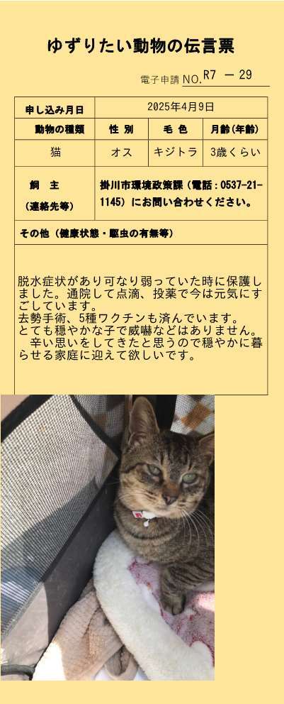R7-29 (JPG 55.9KB)