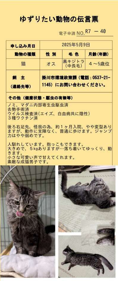 R7-40 (JPG 56.7KB)