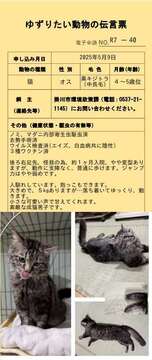 R7-40 (JPG 56.7KB)