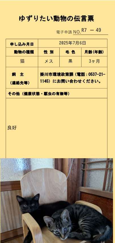 R7-49 (JPG 34.8KB)