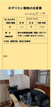 R7-49 (JPG 34.8KB)