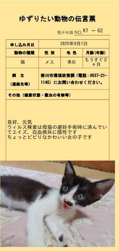 R7-62 (JPG 38.1KB)