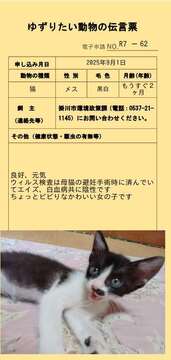 R7-62 (JPG 38.1KB)