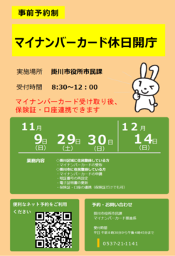 11月・12月休日開庁チラシ (PNG 279KB)