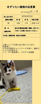 report_814404_70 (JPG 47.6KB)