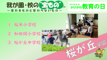 我が園・校の宝ものトップ5(桜が丘).png