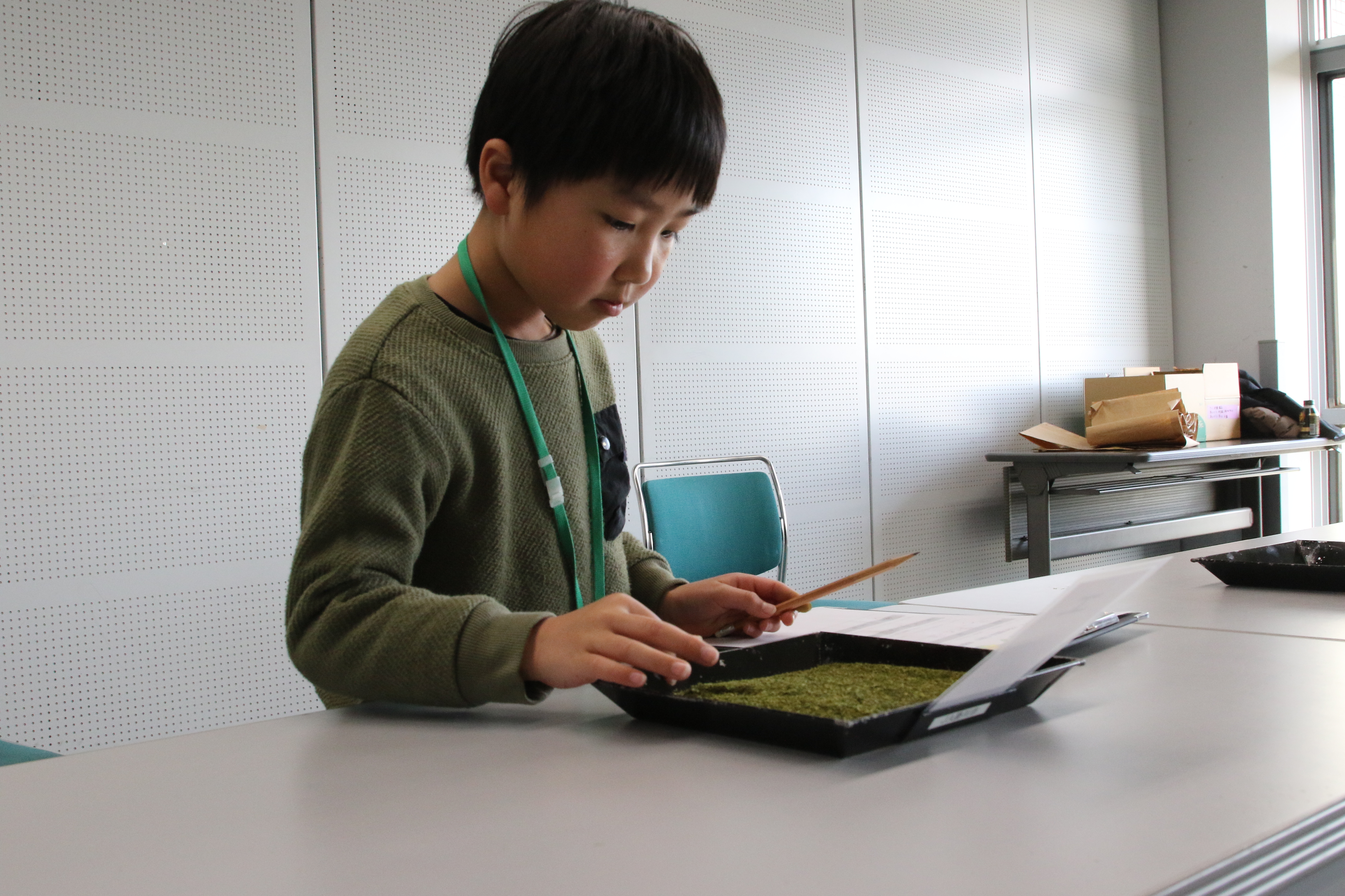 お茶の種類あて競技の様子