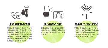 野菜をしっかり摂ると期待できること.png