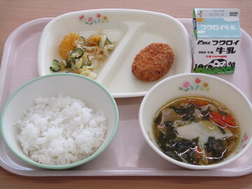 給食