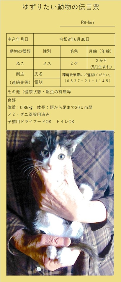 R8-7 (JPG 119KB)