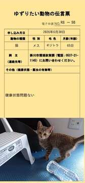 R8-98 (JPG 39.3KB)
