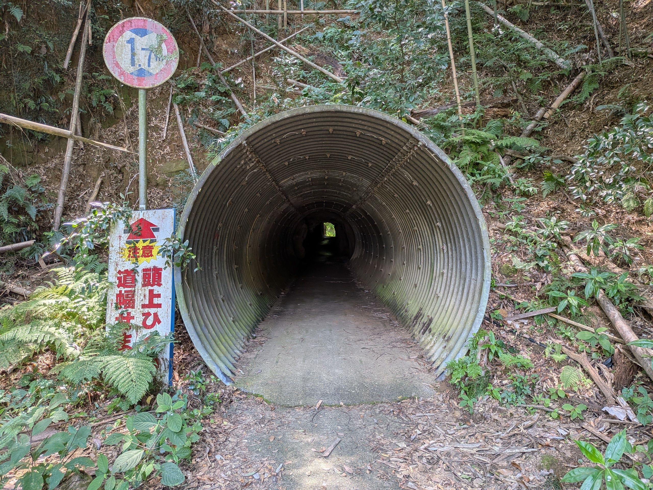 PXL_20260715_032454828.jpg