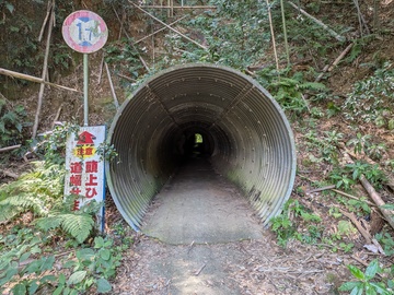 PXL_20260715_032454828.jpg